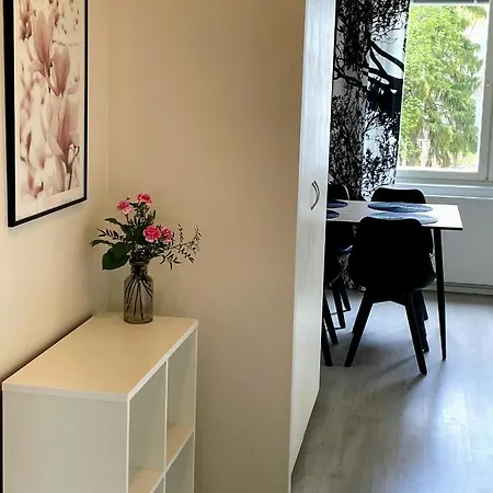 Citykoti Kuutti * 萨翁林纳